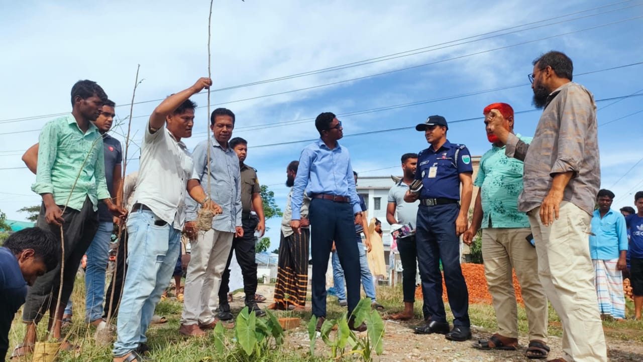 মধ্যনগরে মীম নুন ফাউন্ডেশনের উদ্যোগে হাওরের জীববৈচিত্র্য ও পরিবেশ রক্ষায় বৃক্ষরোপন কর্মসূচী,